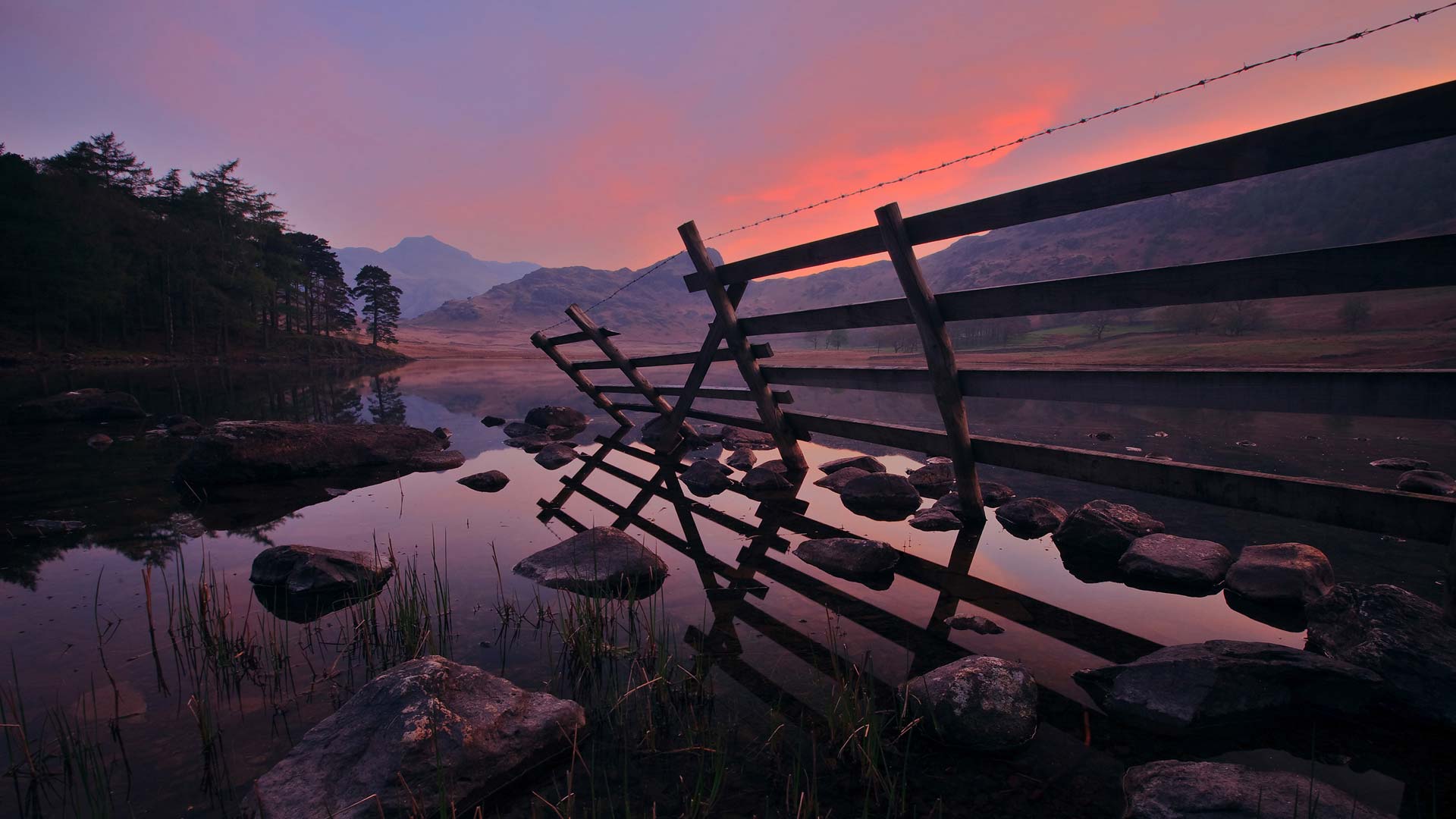 Lorem ipsum dolor sit 1